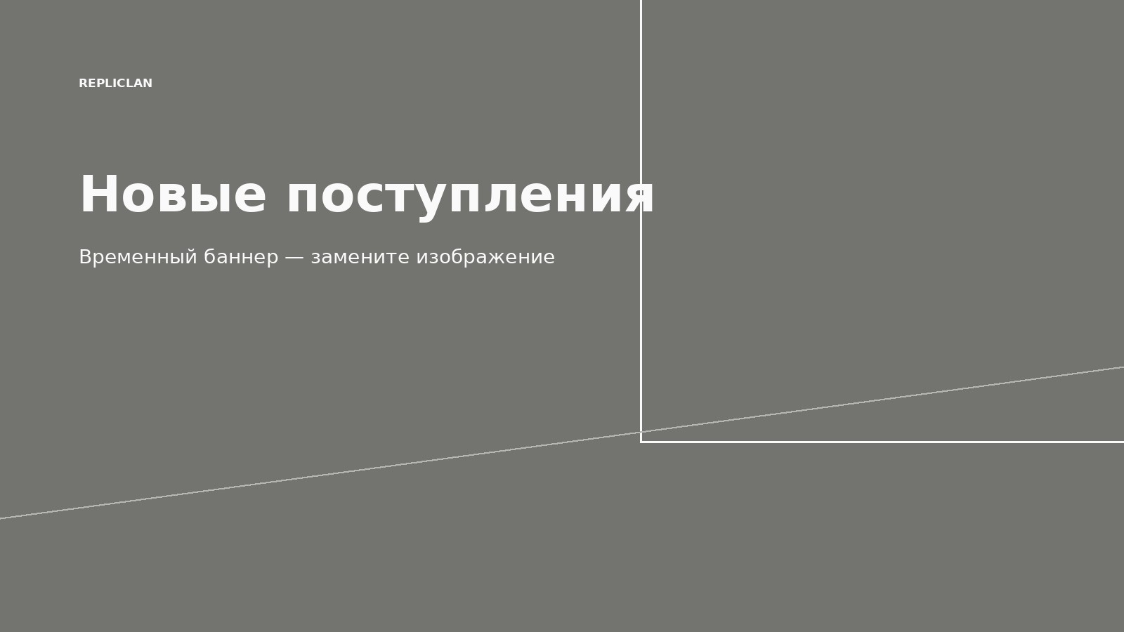 Новые поступления товаров Repliclan